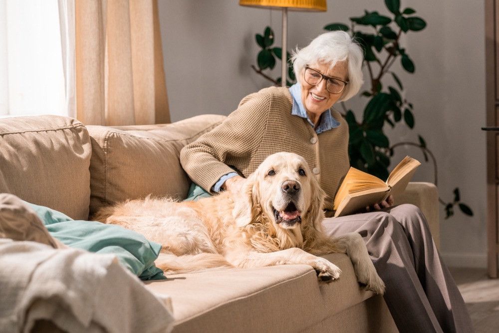 An elderly white woman sitting on her couch while petting her golden retriever and reading a book.