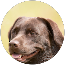 Tucker Billimek profile picture